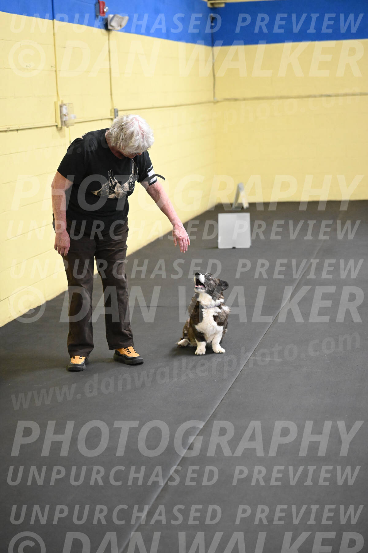 SAT506_0046