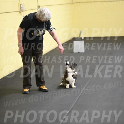 SAT506_0046