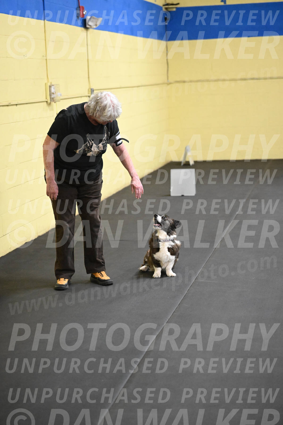 SAT506_0047