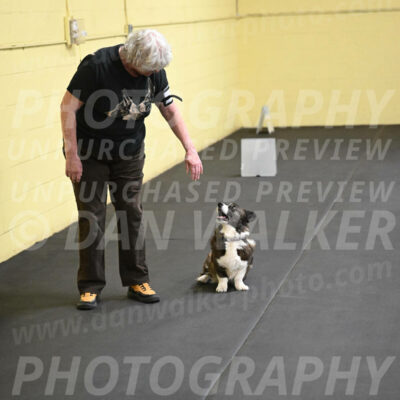 SAT506_0047