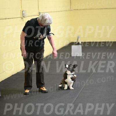 SAT506_0048