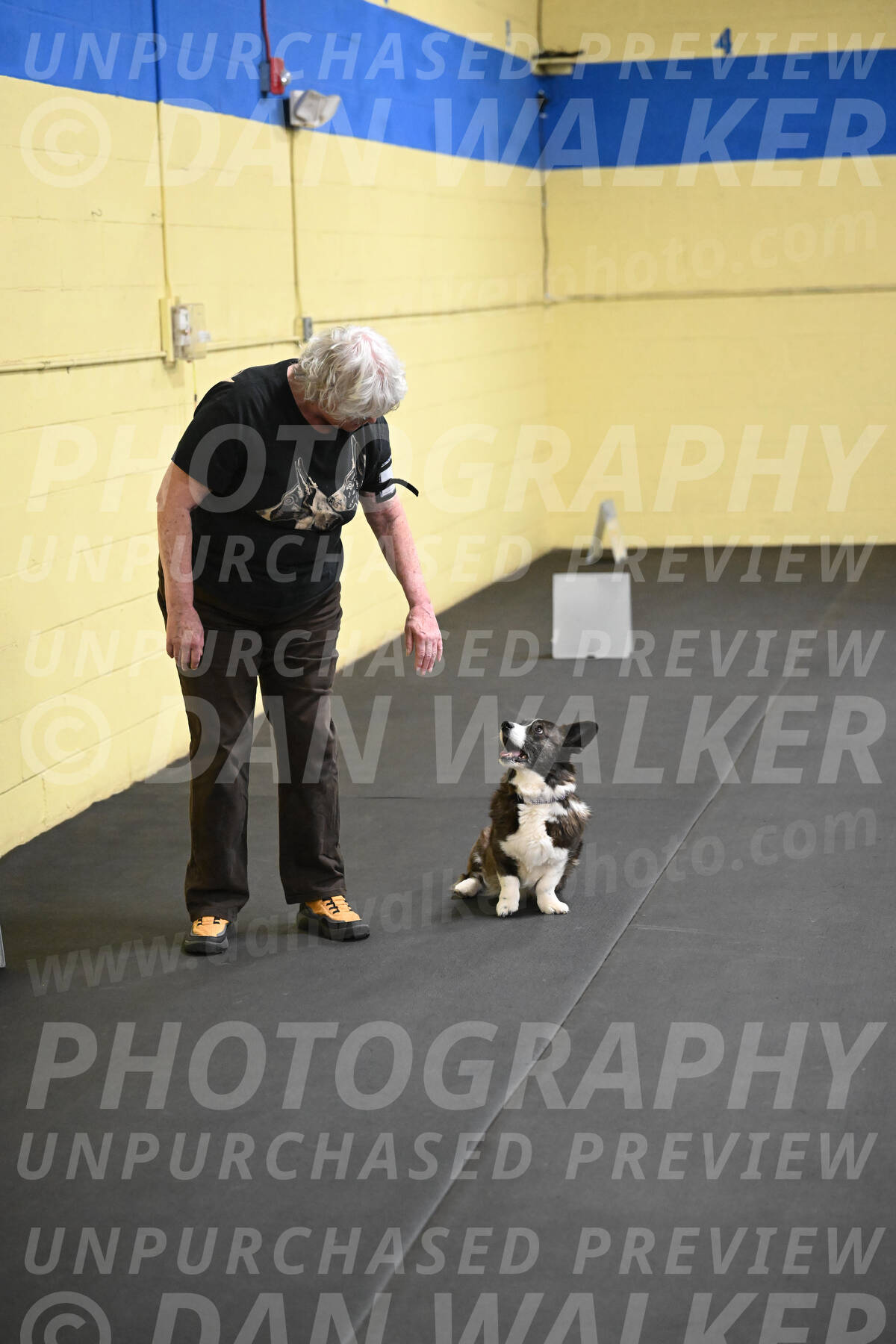 SAT506_0048