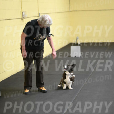 SAT506_0049