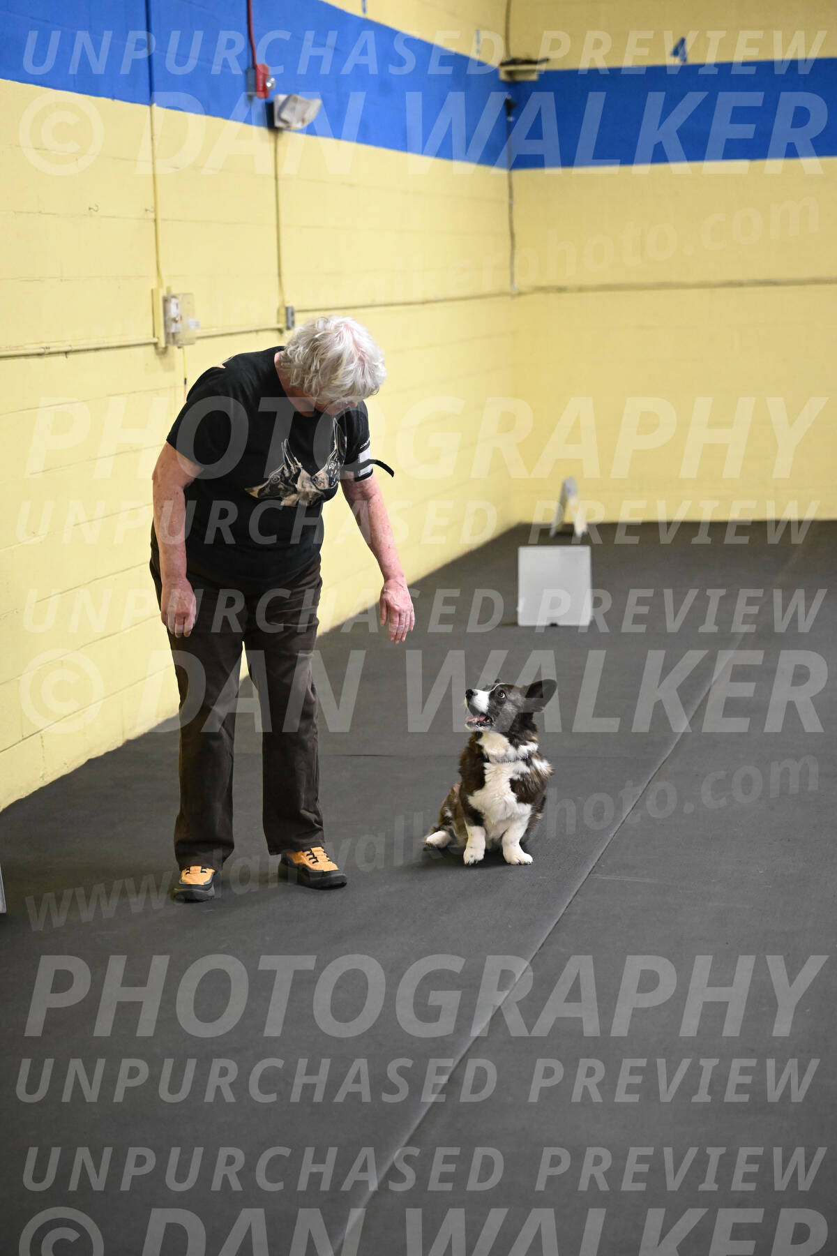 SAT506_0049