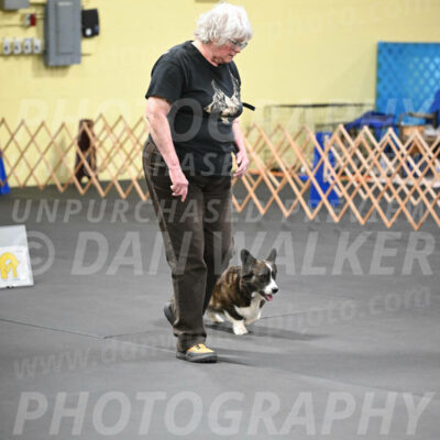 SAT506_0053