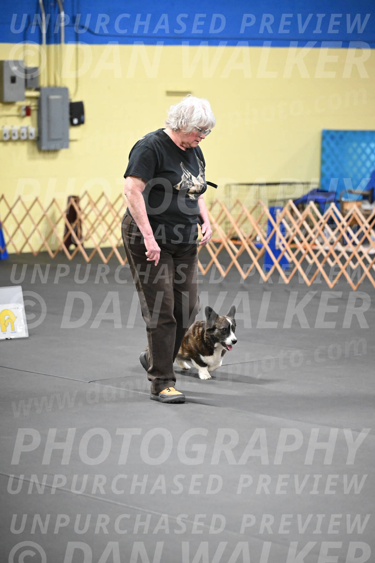 SAT506_0053