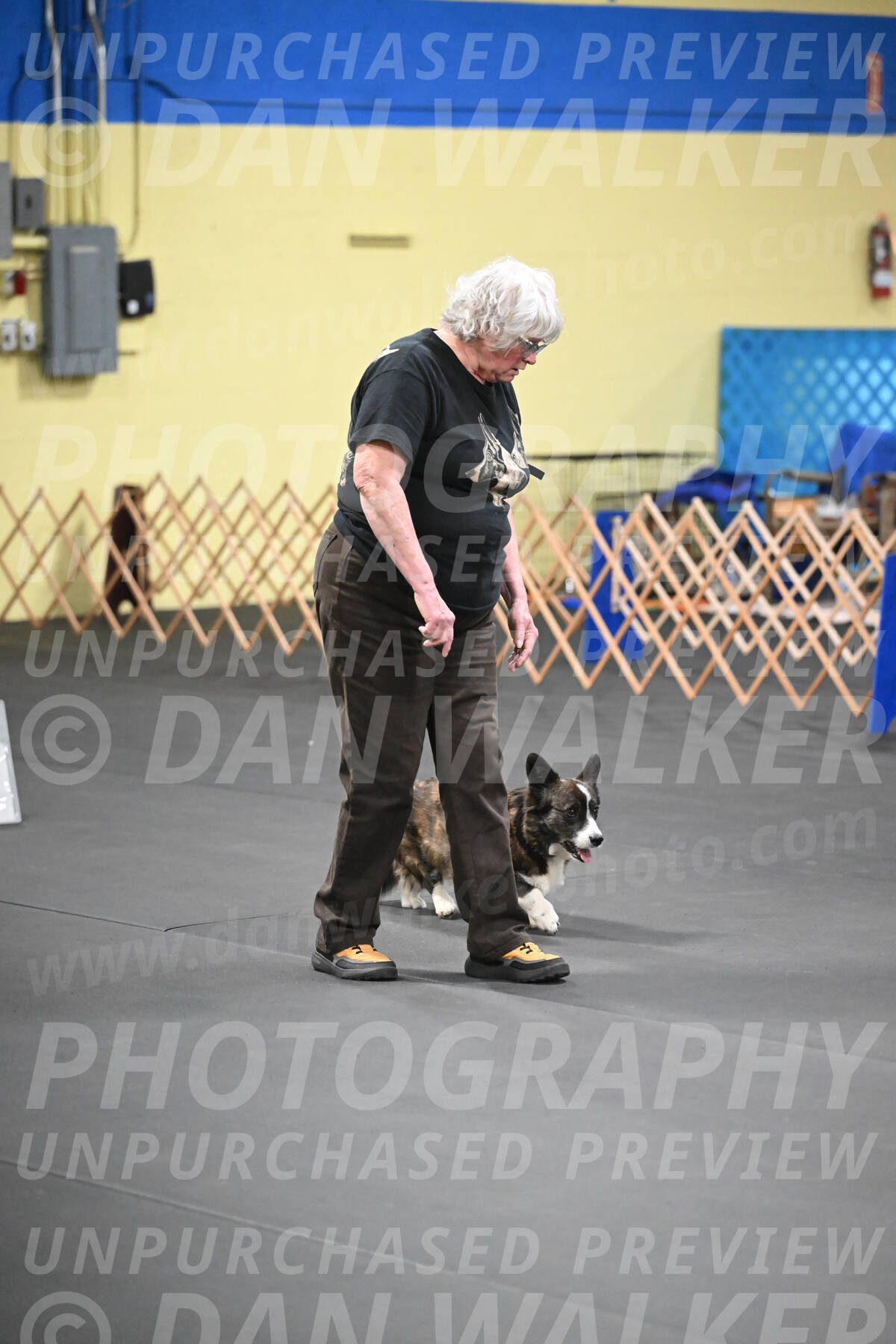 SAT506_0055
