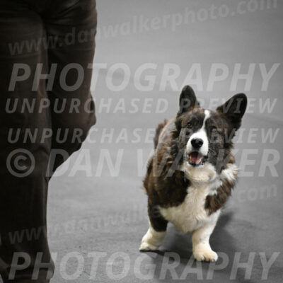 SAT506_0061
