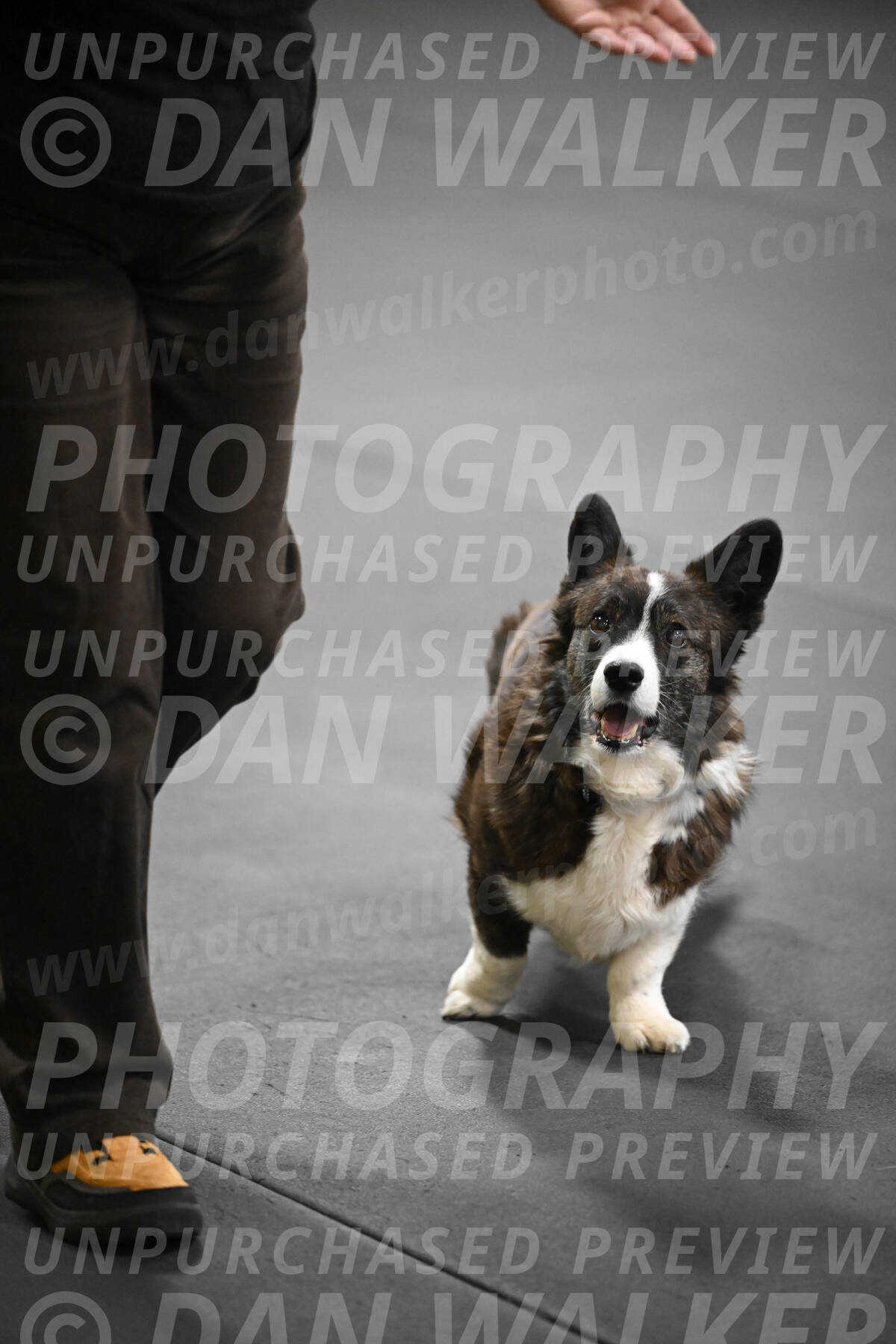 SAT506_0061