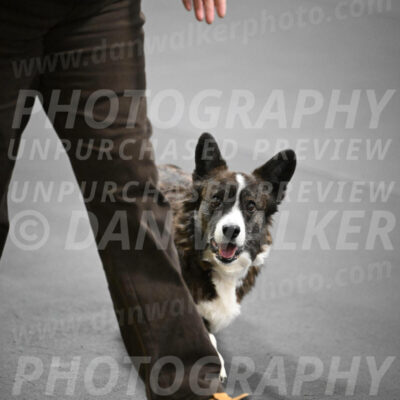 SAT506_0063