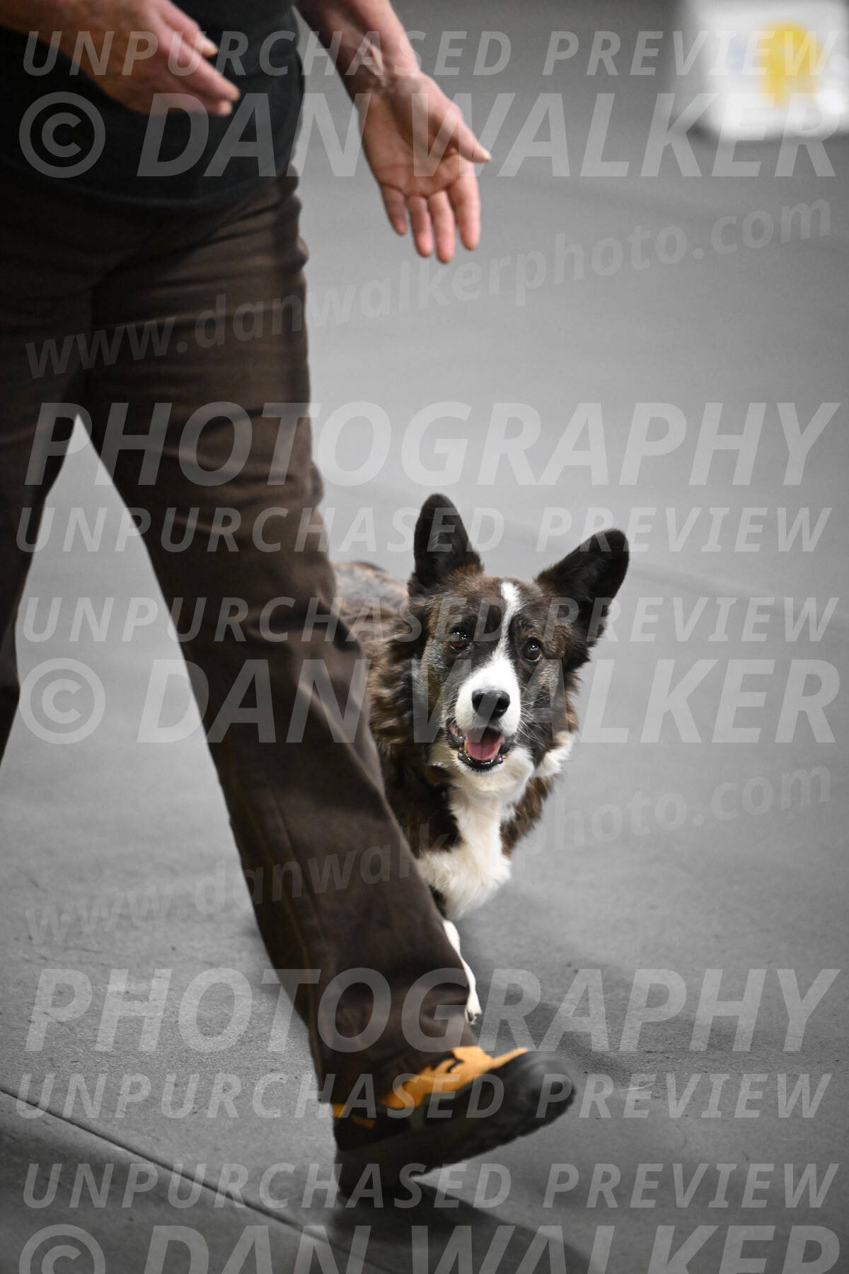 SAT506_0063