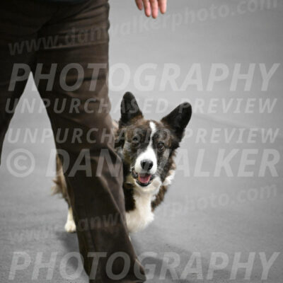 SAT506_0064