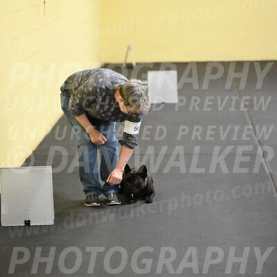SAT507_0061