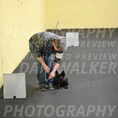 SAT507_0062