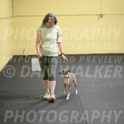 SAT507_0076