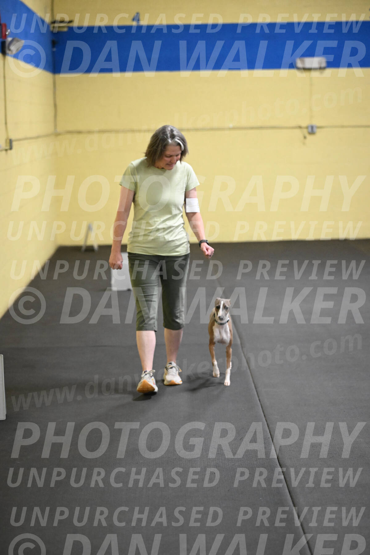 SAT507_0081