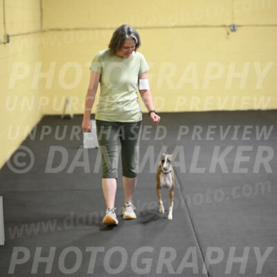 SAT507_0081