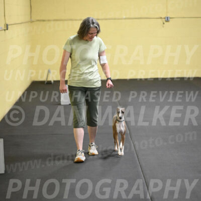 SAT507_0082