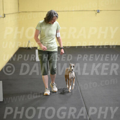SAT507_0084
