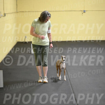 SAT507_0086