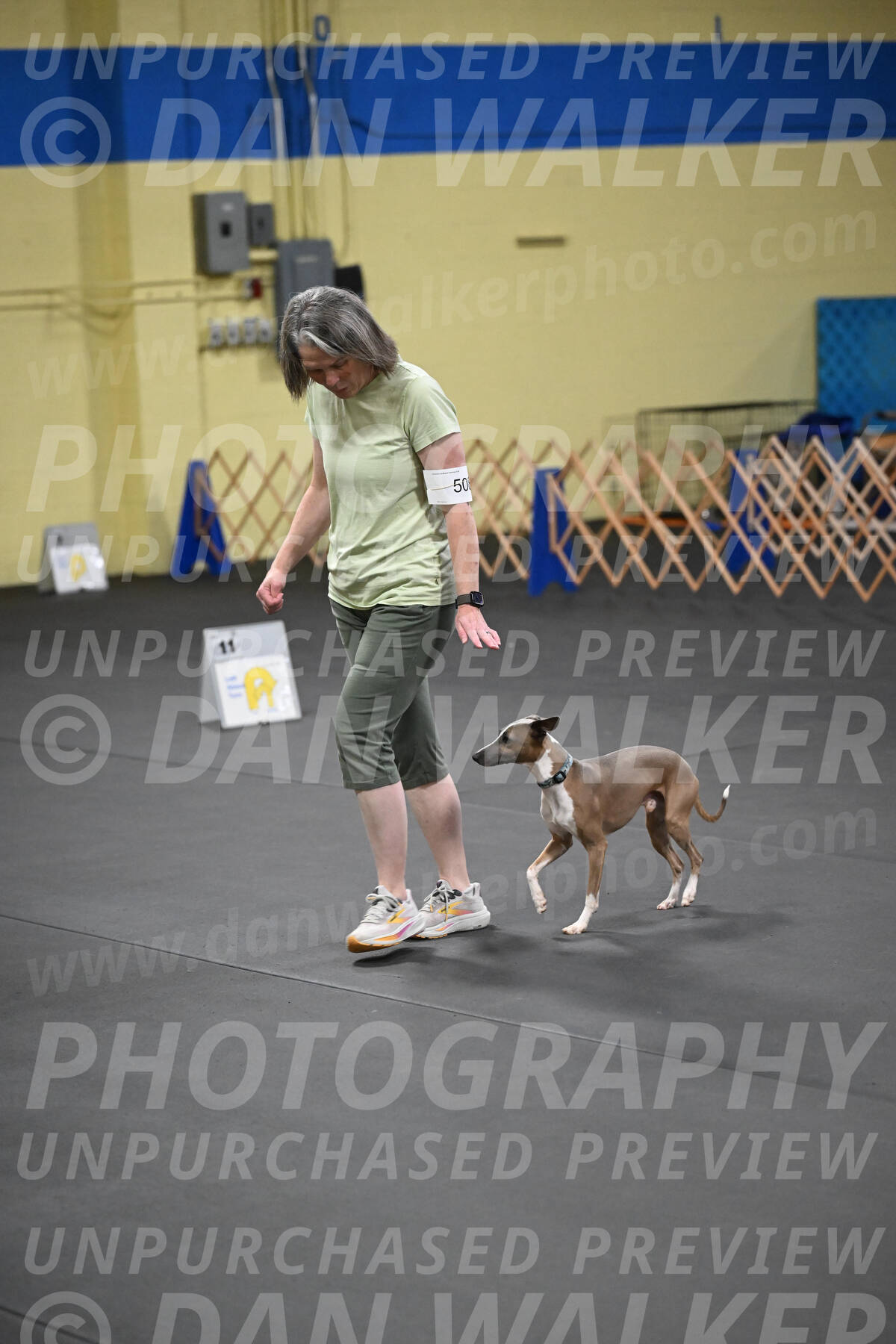 SAT507_0146