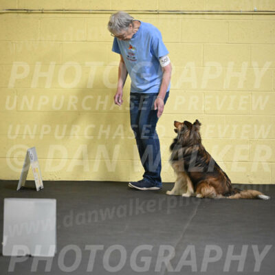 SAT509_0012