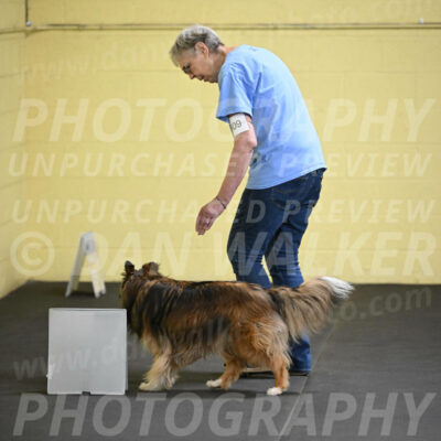 SAT509_0039