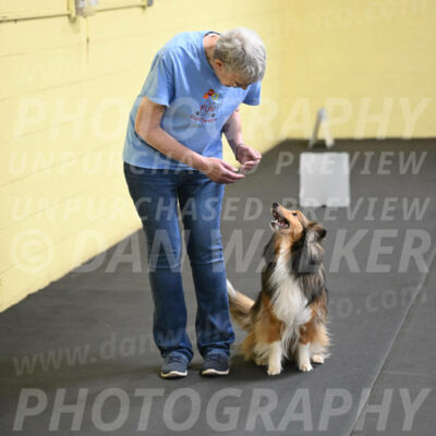 SAT509_0093