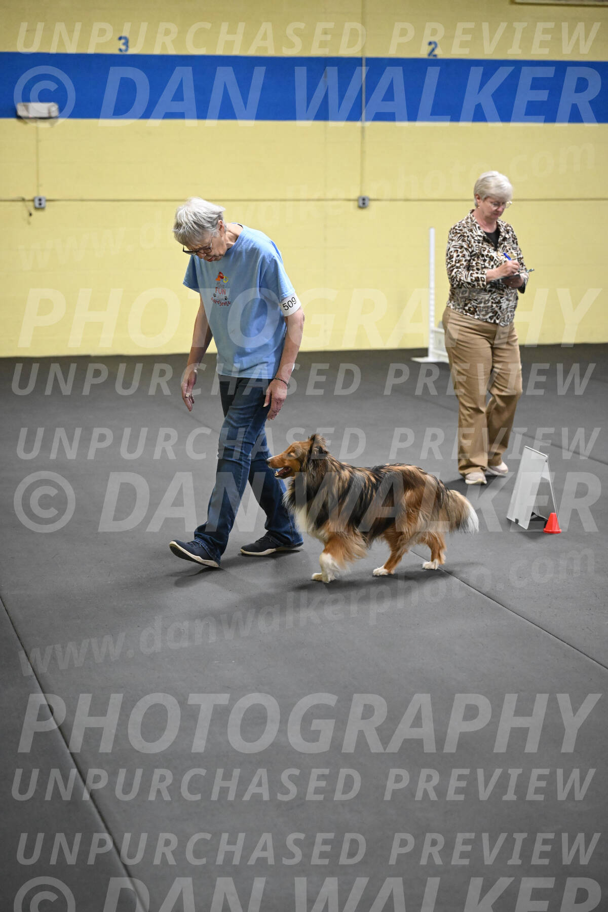 SAT509_0137