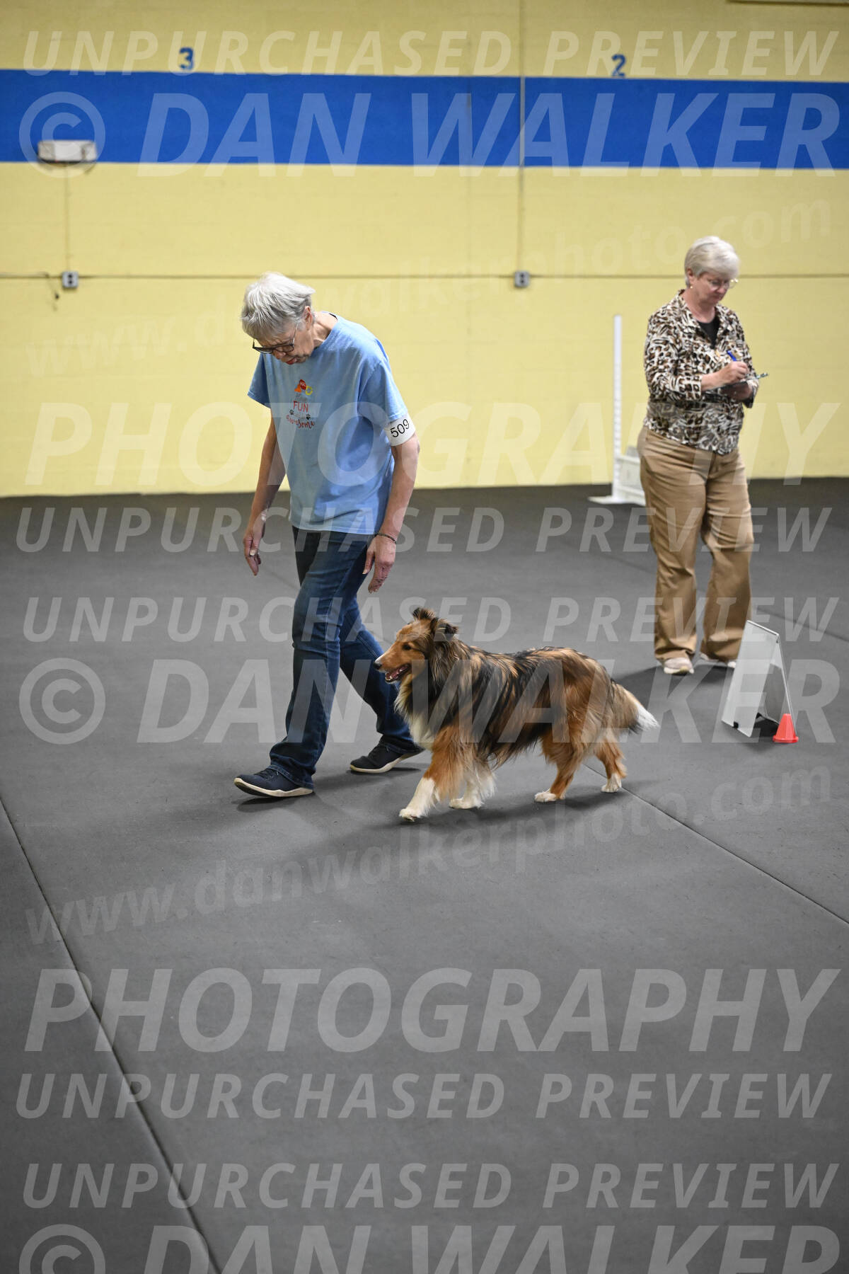 SAT509_0138
