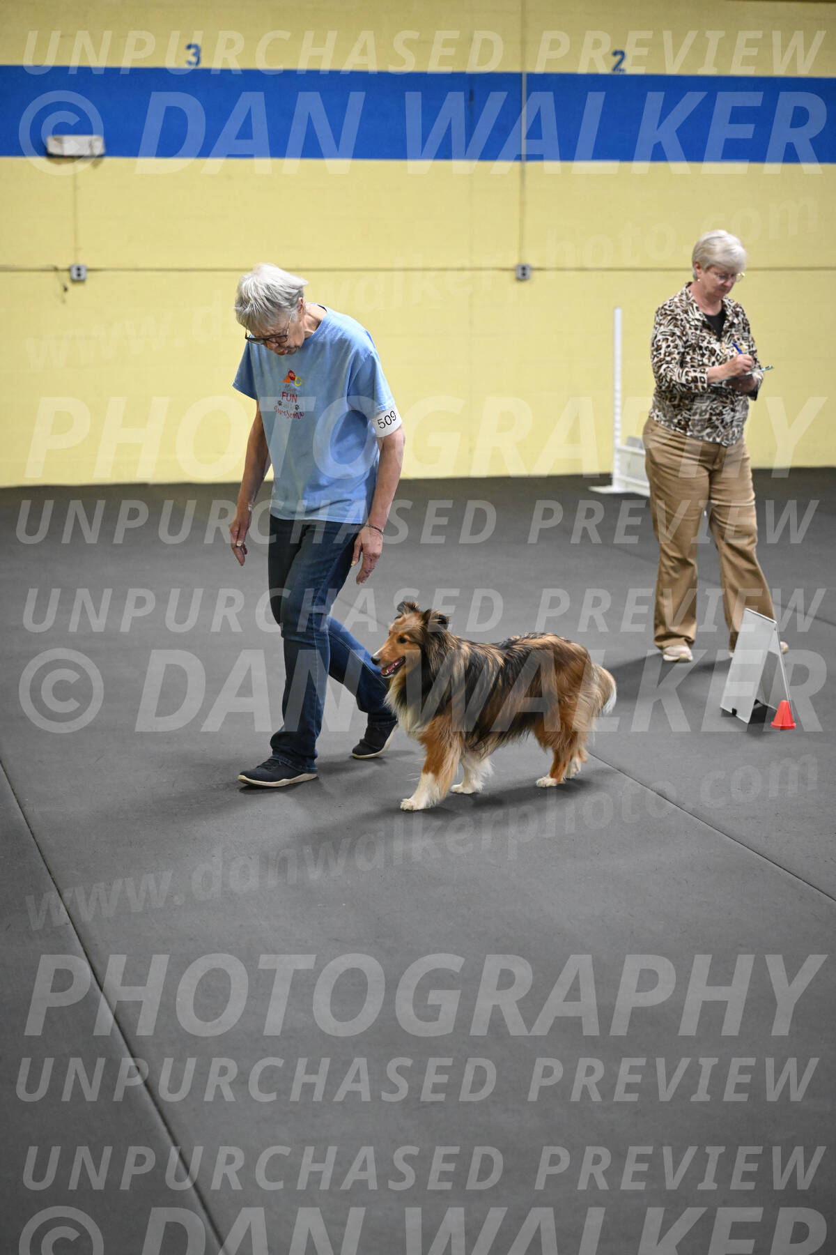 SAT509_0139