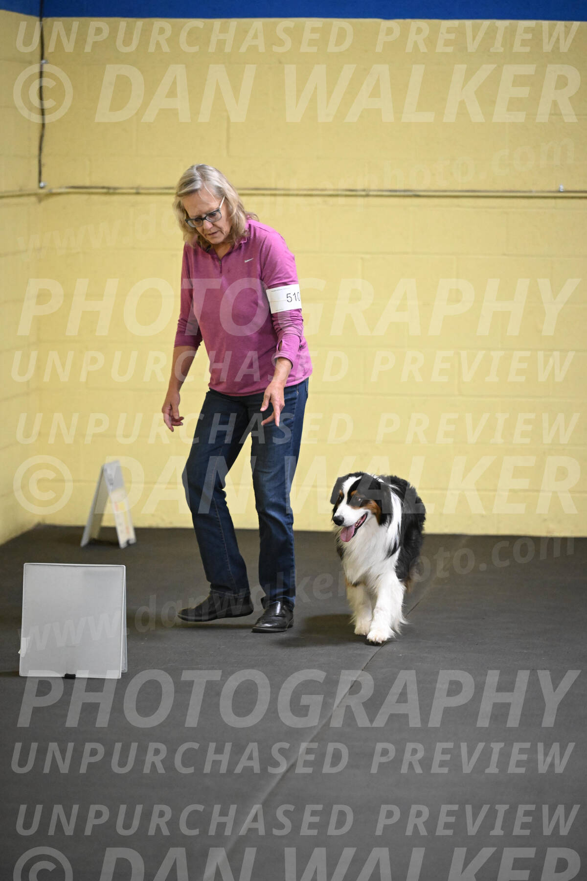 SAT509_0177