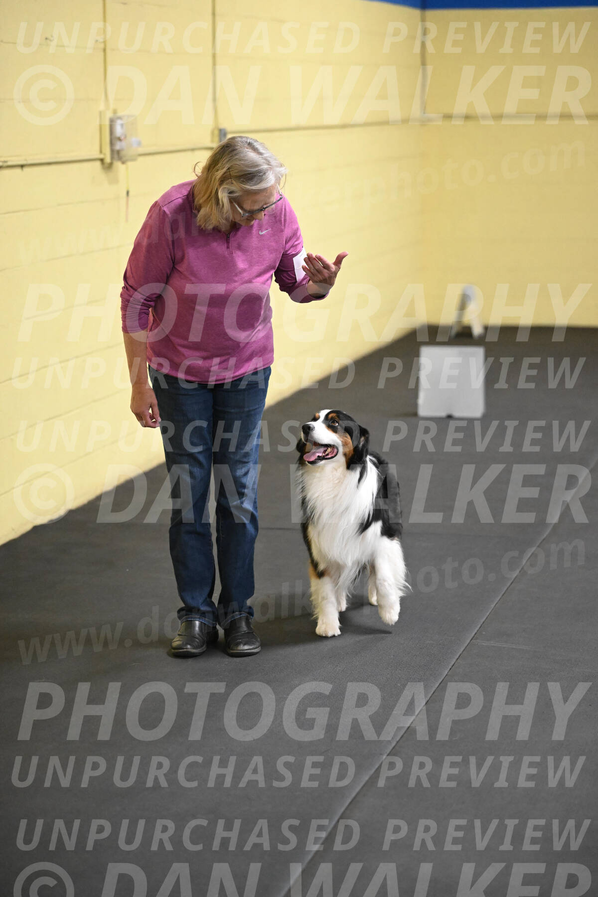 SAT509_0225