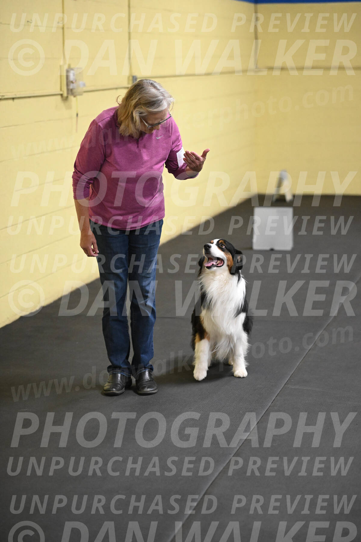 SAT509_0228