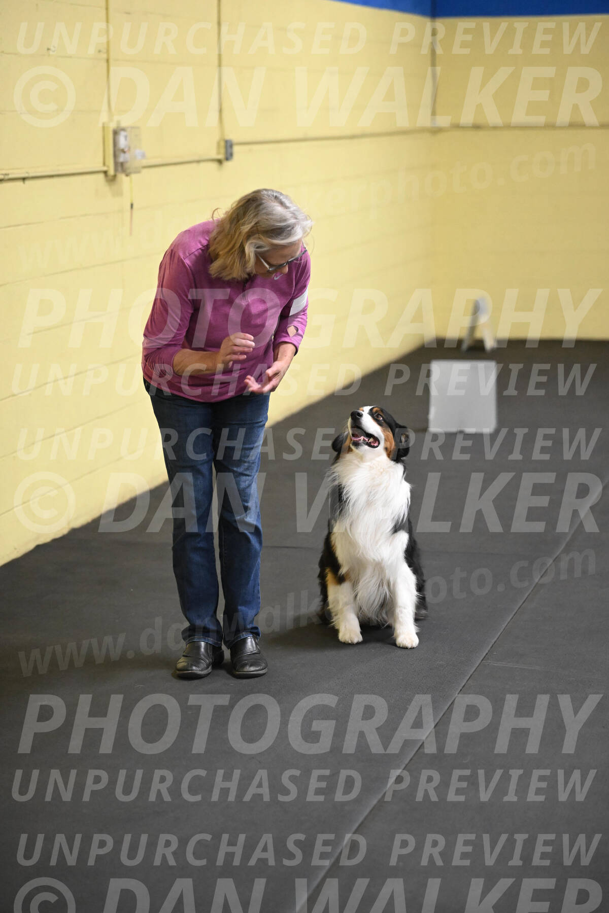 SAT509_0231