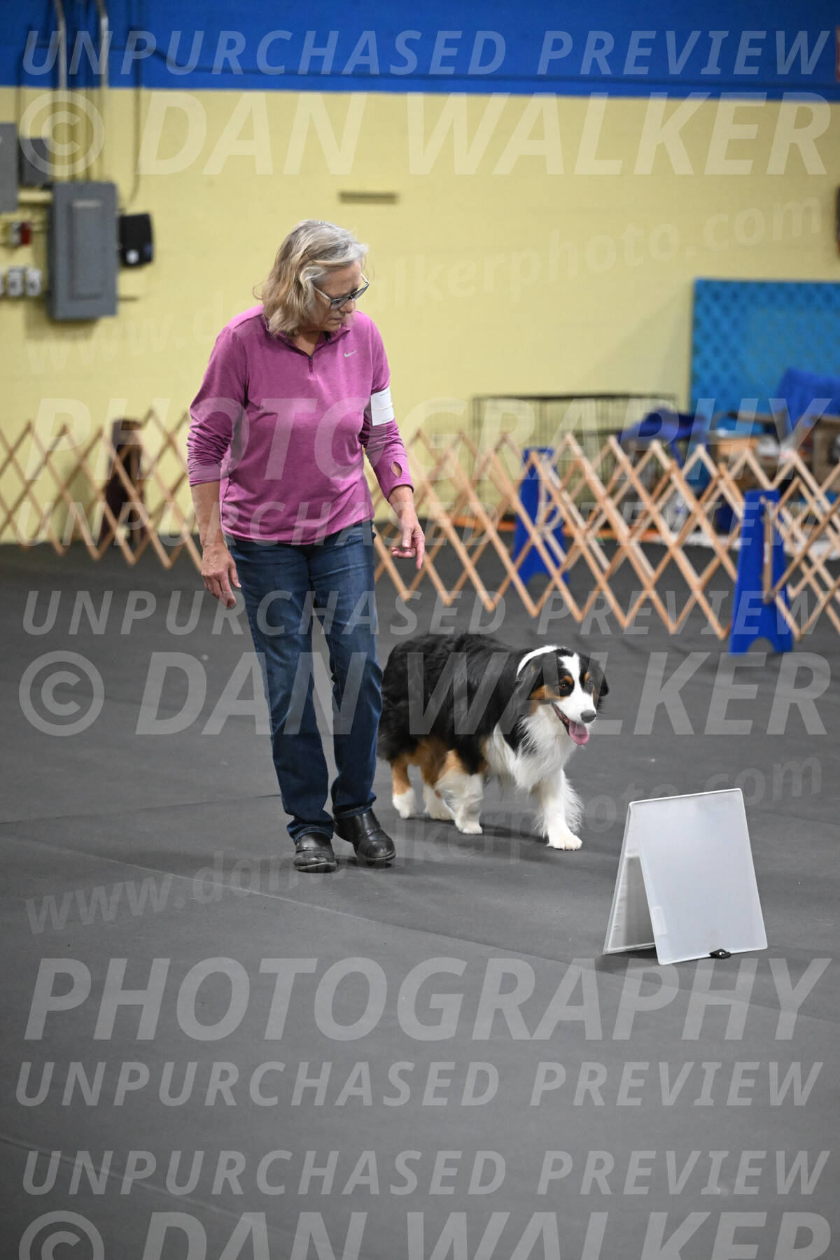 SAT509_0255