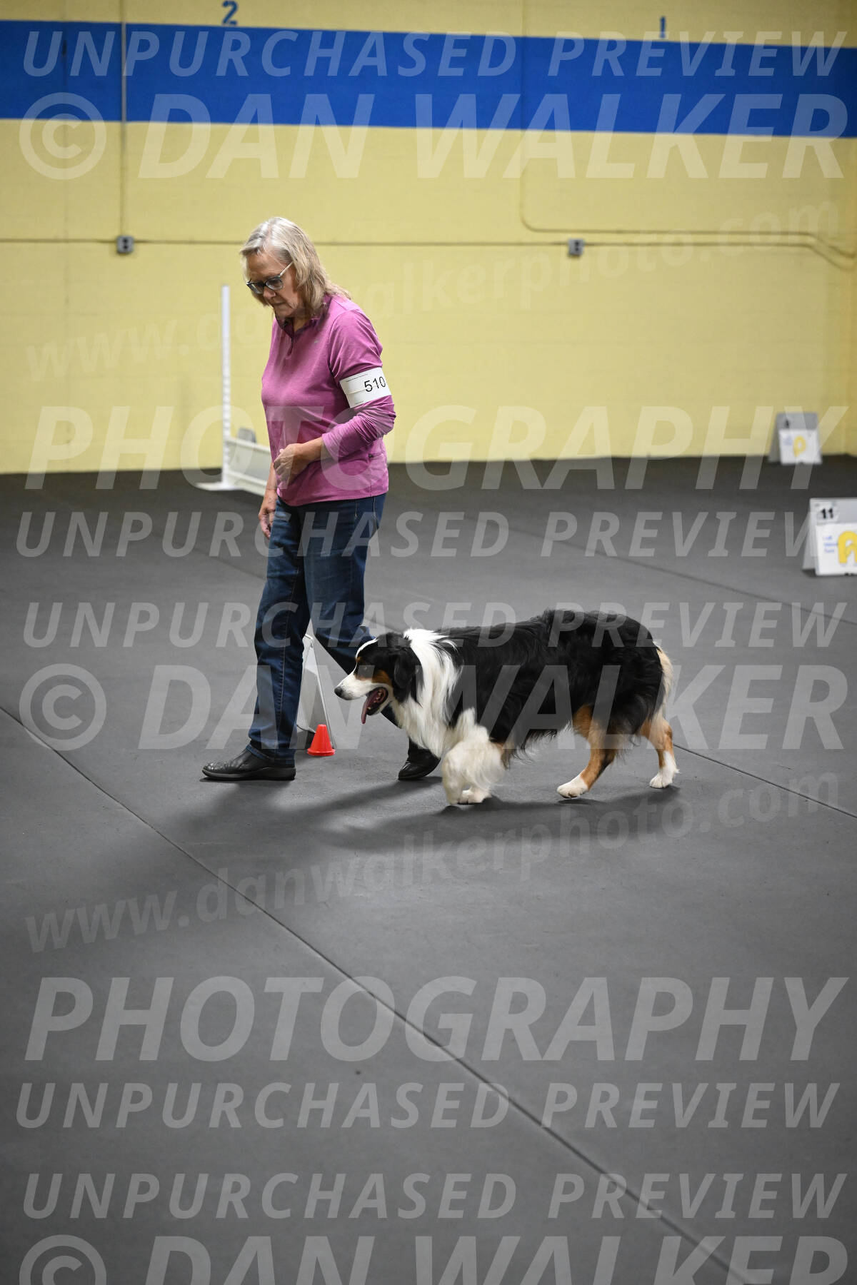 SAT509_0260