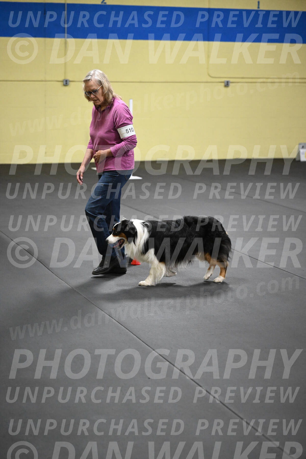 SAT509_0262