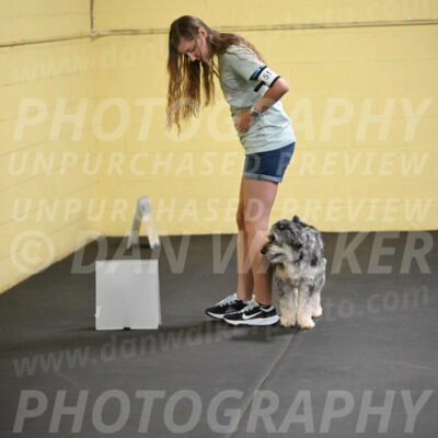 SAT511_0028