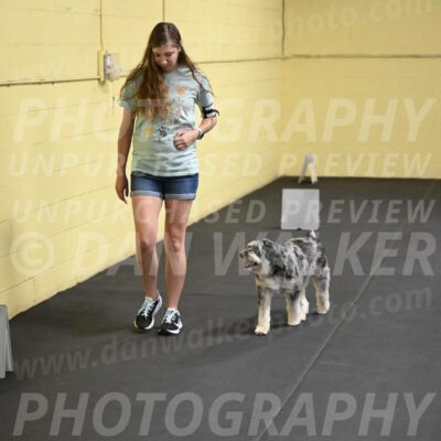 SAT511_0035