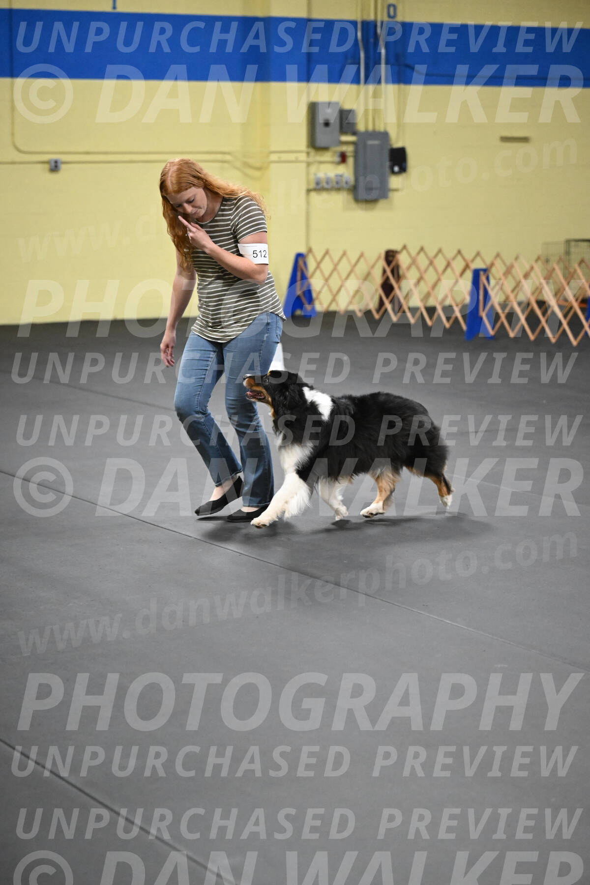 SAT512_0054