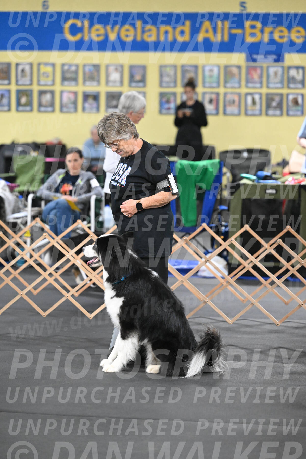 SAT513_0007
