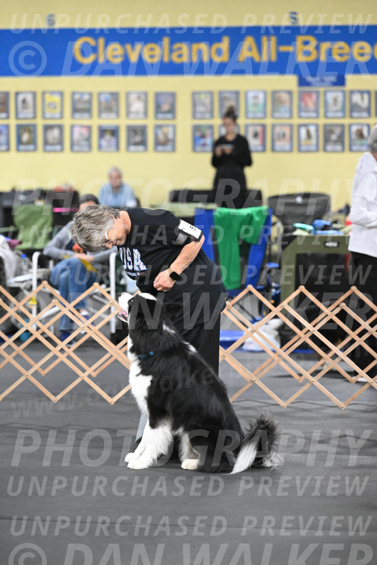 SAT513_0011