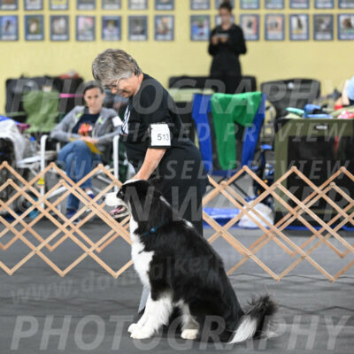 SAT513_0016