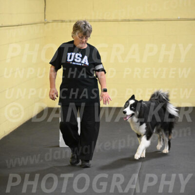 SAT513_0056