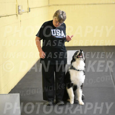 SAT513_0075