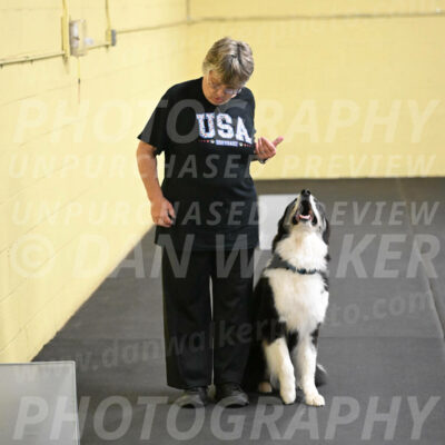 SAT513_0076