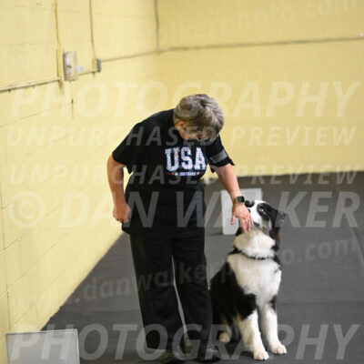 SAT513_0097
