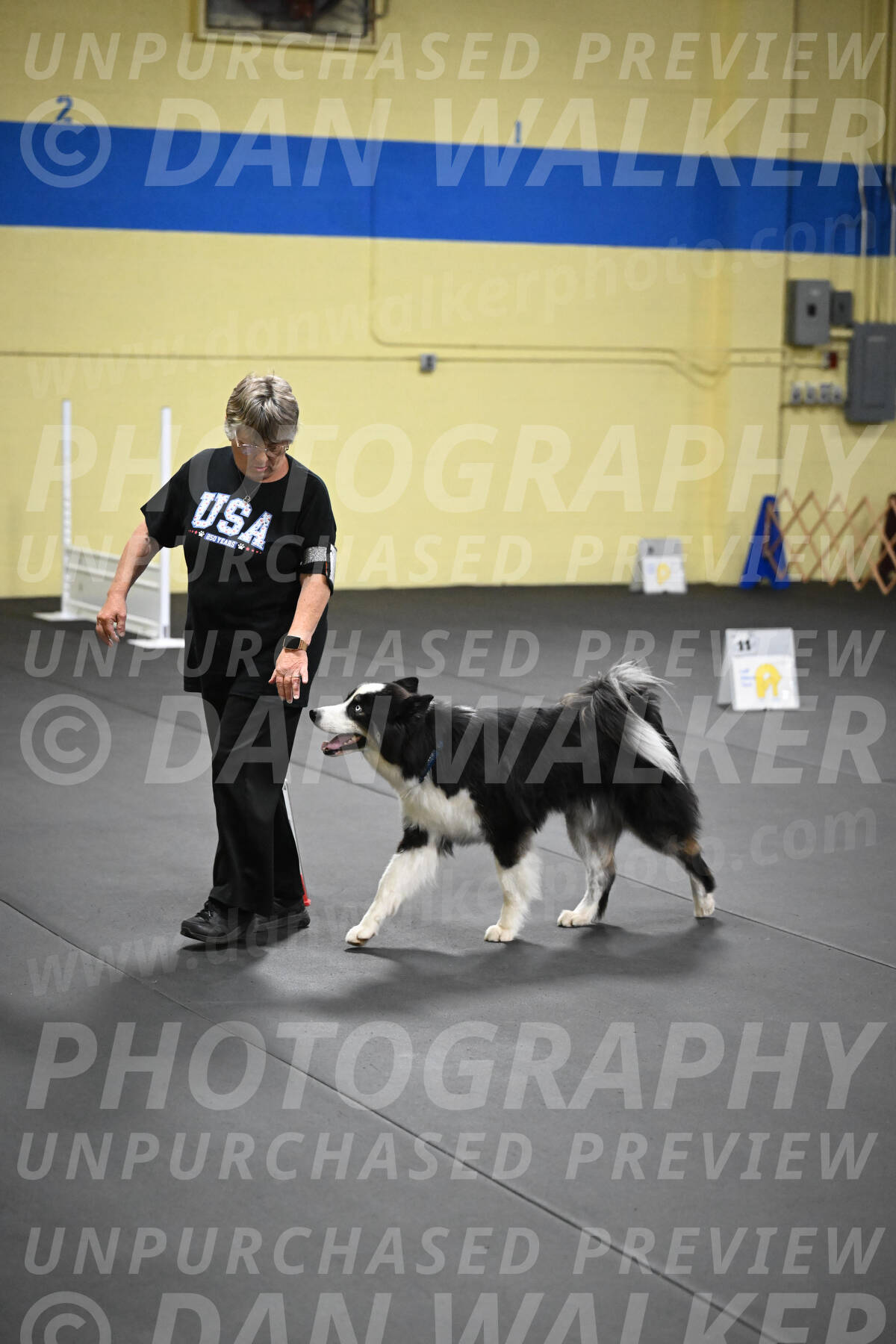 SAT513_0111