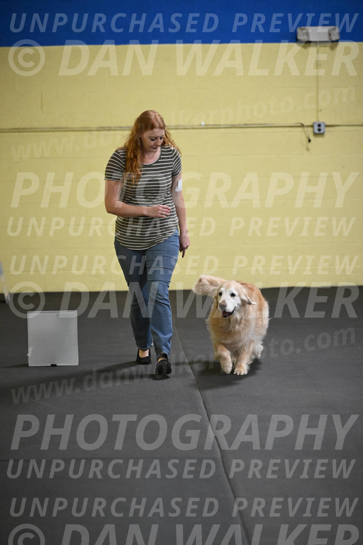 SAT514_0025
